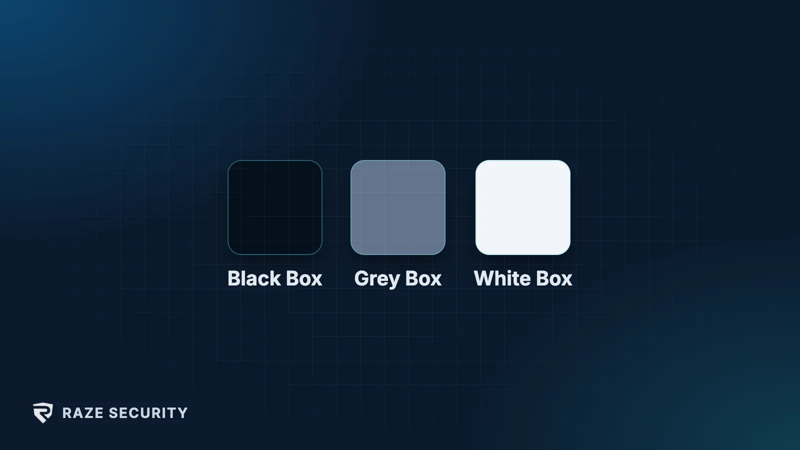 Black Box, Grey Box, White Box Sızma Testi